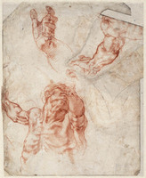 A 016 recto
          <br/>
          Figuurstudies voor de kruisiging van Haman
          <br/>
          <em>Michelangelo Buonarroti (1475-1564)</em>